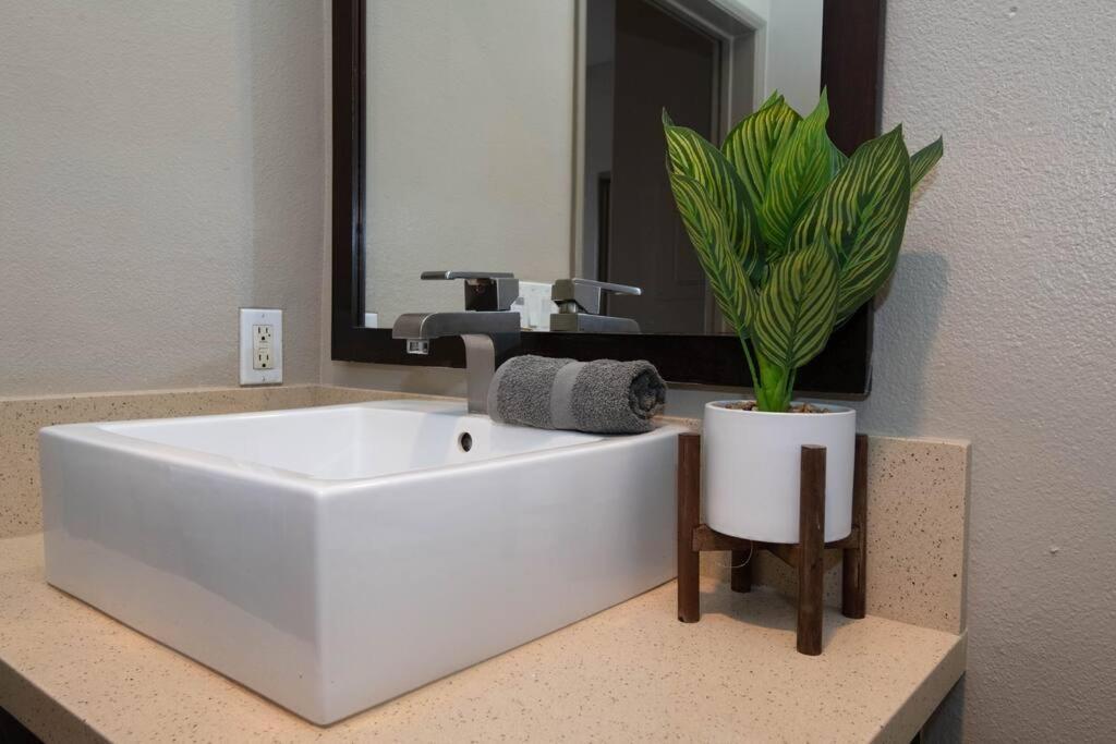 Apartment Cozy 2bedapt Next To Convention Center La Live 323 Los Angeles